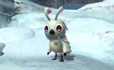 ���������꡼ No.014�Υ���ͥ������ / �֥ե��󥿥�������������饤��2��8��29���Υ��åץǡ��ȤǼ��������֥���åץ����åե����˥Х�פΥ������塼���������󤬸�����