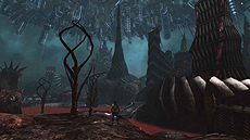 ꡼ No.005Υͥ / ֥ե󥿥饤2ס緿åץǡ2ơְǤνפθȾˤ122013ǯ1ˤƤΥåץǡȾ