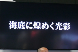 ���������꡼ No.033�Υ���ͥ������ / ��TGS 2013���Զ��ؤμպᤫ��Ϥޤä���PSO2�ץ��ơ����Ǥ�11��ޤǤΥ��åץǡ��ȷײ褬���餫�ˡ�����ˡ�����ޤɤ����ޥ����פȤΥ���ܤ�