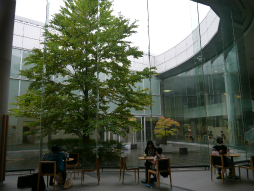 画像集#003のサムネイル/「ファンタシースター感謝祭2014」“アークスグランプリ”札幌大会予選は個性豊かなチームが揃ったハイレベルな戦いに