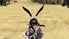 ������#033�Υ���ͥ���/�֥ե��󥿥�������������饤��2�ס����ָ���Τ�����٥�Ȥ������ۿ�����¸����ƥ�Ĥι�������˲ä��ơ�������å���������Ǥ��륢���ƥ��Ҳ�