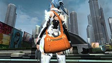 ������#048�Υ���ͥ���/�֥ե��󥿥�������������饤��2�ס����ָ���Τ�����٥�Ȥ������ۿ�����¸����ƥ�Ĥι�������˲ä��ơ�������å���������Ǥ��륢���ƥ��Ҳ�