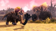 ������#015�Υ���ͥ���/�֥ե��󥿥�������������饤��2�ץ��åץǡ��ȡȡ������ι���Ťι��Part1�ɤǡ������㤤�ζ�����ؤ�ܥ����臘����ƥ���åȥ������Ȥ�����