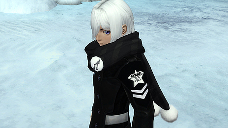 ���������꡼ No.012�Υ���ͥ������ / ��PSO2�פ�2014ǯ�ο͵������ƥ��������AC������å����ۿ��档���ӡ��Ϥ�������ͤ��ѹ������̰����Υ˥㥦�ϵ������Υ쥢�����ƥ��ɥ��å�