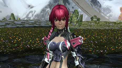 ���������꡼ No.016�Υ���ͥ������ / ��PSO2�פ�2014ǯ�ο͵������ƥ��������AC������å����ۿ��档���ӡ��Ϥ�������ͤ��ѹ������̰����Υ˥㥦�ϵ������Υ쥢�����ƥ��ɥ��å�