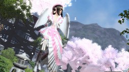 画像ギャラリー No.001のサムネイル画像 / 「PSO2」，キャラクターコンテスト＆動画コンテストの結果が公開に