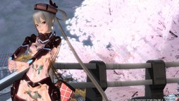 画像ギャラリー No.002のサムネイル画像 / 「PSO2」，キャラクターコンテスト＆動画コンテストの結果が公開に
