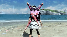 ���������꡼ No.011�Υ���ͥ������ / ��PSO2�ץ��ȡ��꡼�������ȡ����ڤʤҤȤ��뤿��ˡפ������ۿ���ñ�Ȥǹ����ΰ�˸����ä������ʥҥ��̿���䤤����