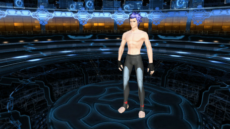 ꡼ No.011Υͥ / PSO2פ緿åץǡȡ˽ȻءPart1ݡƥʥǥ䥮㥶󥰤˥ԥåΥ쥤󥰥ACåо