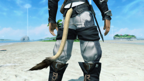 画像ギャラリー No.078のサムネイル画像 / 「PSO2」×「FFXIV」コラボ,ついに始動。境界を超えたボス・闘神オーディンが登場する期間限定クエストやコラボスクラッチが配信