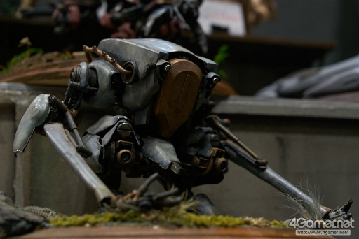 ꡼ No.142 | եƥХ2016βơϤšϥե奢濴˼̿ǾҲ𤹤