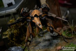 ꡼ No.143 | եƥХ2016βơϤšϥե奢濴˼̿ǾҲ𤹤