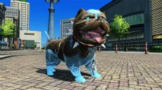 ���������꡼ No.044�Υ���ͥ������ / ��PSO2�פˡȥ�����ɥ���ܥ����ƥ��ޤ�AC������å������������ڥåȤΥ��󥯥�����饹�٥����ο��ܥ������ʼ��饤�ɥ����ɤξ����