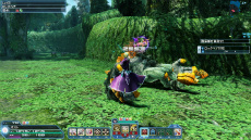 ꡼ No.040Υͥ / PSO2׽緿åץǡȡֲ˺ߤꤷζפ¿Υϥ󥤥٥ȤԻ׵ĤιΥꥹפդˤƥबо