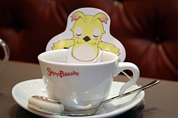 ���������꡼ No.026�Υ���ͥ������ / ���������ץ󤷤���PSO2 �����������ե� The Best�פλ����ݡ��ȡ����ο͵���˥塼�˿���˥塼��ä����������������ե���Best�� 