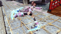 画像ギャラリー No.062のサムネイル画像 / 「PSO2」の新春記念アップデート「ARKS NEW YEAR CARNIVAL 2017」Part1が本日実施。さまざまな報酬が獲得できるWEB連動イベントが開催