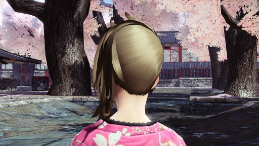 ���������꡼ No.121�Υ���ͥ������ / ��PSO2�פ��緿���åץǡ��ȡ�ARKS NEW YEAR CARNIVAL 2017��Part3�������»ܡ���������å��֥��ѡ�����ե��å���˥����פ��о�