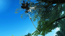 ���������꡼ No.047�Υ���ͥ������ / �֥ե��󥿥�������������饤��2�פǡ�NieR��Automata�ץ���ܤ��������ϡ��֥��ϡפ򥤥᡼�����������ƥबAC������å�������Ǥ���