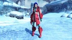 ���������꡼ No.069�Υ���ͥ������ / ��PSO2�פǡ֥ե��󥿥�����������˥С�����10��ǯ���٥����3�Ƥ������������ȡ��饤���ȥ�ߥ�����ǰ������å��ʤɤ��о�