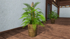 ���������꡼ No.216�Υ���ͥ������ / �֥ե��󥿥�������������饤��2�ס�EP5�Υᥤ�󥳥�ƥ�ġ֥Х������������ȡפ������ۿ�����AC������å��֥ޥ��å��ʥ��ȥե����꡼�פ��о�