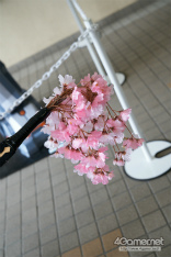 ꡼ No.206 | PSO2κŵ֥ե󥿥պ 2017ץեȥݡȡ̤äץ쥤䡼γ̤ΥեȺʤǺ