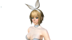 ���������꡼ No.001�Υ���ͥ������ / ��PSO2�ס������륫��Хå������13�ơ���Ʈ�Х��Ĵ����2�Ƥ�»�