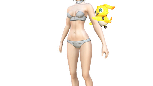 ���������꡼ No.009�Υ���ͥ������ / ��PSO2�ס������륫��Хå������13�ơ���Ʈ�Х��Ĵ����2�Ƥ�»�