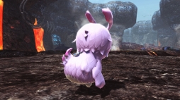 ���������꡼ No.029�Υ���ͥ������ / ��PSO2�ס��Х�󥿥��󥤥٥��2018�������������ȡ��۵ޥ������ȡ֥��祳�졼�Ȥι���2018�פ俷Ũ�֥�֡�����ڥ�åԡ��פ��о�