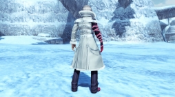 ���������꡼ No.064�Υ���ͥ������ / ��PSO2�ס����ᥬ�ե��륹���롼�������з褹��쥤�ɥ������ȡְ۳����¤��줷�Τβ��ȡפ�������AC������å��ˡ�Re:�����ץ���ܰ������ɲ�