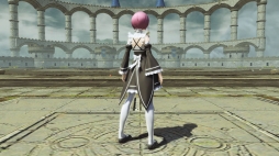 ���������꡼ No.075�Υ���ͥ������ / ��PSO2�ס����ᥬ�ե��륹���롼�������з褹��쥤�ɥ������ȡְ۳����¤��줷�Τβ��ȡפ�������AC������å��ˡ�Re:�����ץ���ܰ������ɲ�