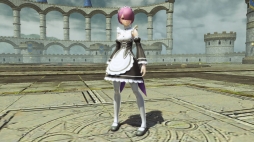 ���������꡼ No.076�Υ���ͥ������ / ��PSO2�ס����ᥬ�ե��륹���롼�������з褹��쥤�ɥ������ȡְ۳����¤��줷�Τβ��ȡפ�������AC������å��ˡ�Re:�����ץ���ܰ������ɲ�