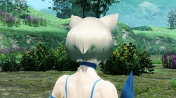 ���������꡼ No.091�Υ���ͥ������ / ��PSO2�ס����ᥬ�ե��륹���롼�������з褹��쥤�ɥ������ȡְ۳����¤��줷�Τβ��ȡפ�������AC������å��ˡ�Re:�����ץ���ܰ������ɲ�