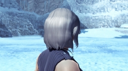 ���������꡼ No.095�Υ���ͥ������ / ��PSO2�ס����ᥬ�ե��륹���롼�������з褹��쥤�ɥ������ȡְ۳����¤��줷�Τβ��ȡפ�������AC������å��ˡ�Re:�����ץ���ܰ������ɲ�