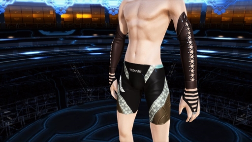 ���������꡼ No.096�Υ���ͥ������ / ��PSO2�ס�6��ǯ��ǰ���åץǡ��ȡַ�ȿ���ζ�Ƚ����פ�Part2������������PS4�ǡ�BORDER BREAK�פȤΥ����AC������å����о�