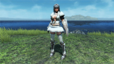 ꡼ No.209 | PSO2פǡMHF-Zץܤȡּζ를ꥪפо줹ָꥯȤо