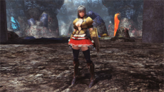 ꡼ No.212 | PSO2פǡMHF-Zץܤȡּζ를ꥪפо줹ָꥯȤо