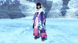 ���������꡼ No.225�Υ���ͥ������ / ��PSO2�פΥ��åץǡ��ȡֱ�������İǤ���ӭ��Part2���������������쥢��ƥ���15����쥤�ɥ������ȡ�����ꤦ���Ǥε��ơפ��о�