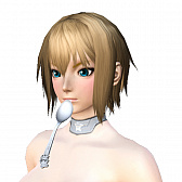 画像ギャラリー No.011のサムネイル画像 / 「PSO2」,「ヴィレッジヴァンガード」とのコラボを実施。PSO2アイテムコード付きコラボ商品を3月9日より全国対象店舗で販売