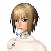 画像ギャラリー No.015のサムネイル画像 / 「PSO2」,「ヴィレッジヴァンガード」とのコラボを実施。PSO2アイテムコード付きコラボ商品を3月9日より全国対象店舗で販売