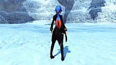 ���������꡼ No.049�Υ���ͥ������ / ��PSO2�ס����åץǡ��ȡ�ARKS NEW YEAR CARNIVAL 2019�ɤ�Part4��»ܡ��ۥ磻�ȥǡ��ط��Υ��٥�Ȥ�AC������å����ۿ�