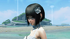 ꡼ No.055Υͥ / PSO2סåץǡȡָ줷δPart3-1»ܡ14ΡֲǽϤۤǥȾμ