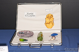 ꡼ No.273 | ֥ե󥿥պ2019׷辡եȥݡȡץ쥳ƥȤߥ˥饤֤濴˲ͻҤҲ