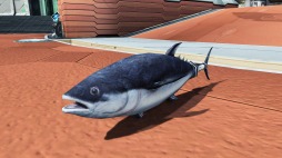 ���������꡼ No.062�Υ���ͥ������ / ��PSO2�ס��Ƥ��浬�ϥ��åץǡ��ȡּ��������̲���˾��Part3�������������������������ȡ�¬��齬�����å��٥��פ��ɲ�