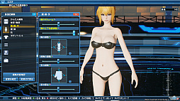 画像集#066のサムネイル/「PSO2」，DirectX 11に対応したグラフィックスエンジンでゲーム画面はどう変わったのか。「PSO2：NGS」仕様になったキャラクリも紹介