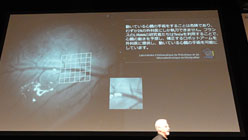 ꡼ No.005 | ֥Υԥ塼ϡץǤϼ¸ǤʤסNVIDIAĹؤϸΨͽ