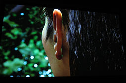 ꡼ No.045 | NVIDIAKeplerפGeForce 600եߥ꡼ȯɽƥޤȤƥå