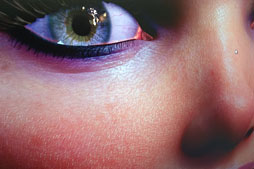 ꡼ No.001Υͥ / COMPUTEXϤޤʤNVIDIAǥDawnסľࡼӡUp