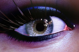 ꡼ No.002Υͥ / COMPUTEXϤޤʤNVIDIAǥDawnסľࡼӡUp