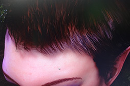 ꡼ No.004Υͥ / COMPUTEXϤޤʤNVIDIAǥDawnסľࡼӡUp