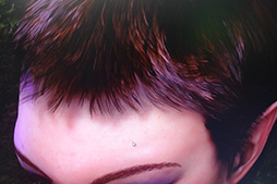 ꡼ No.005Υͥ / COMPUTEXϤޤʤNVIDIAǥDawnסľࡼӡUp